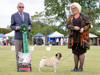 Best in Show