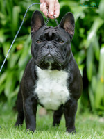 Milly Brannigan