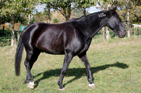 KBP23540