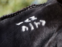 KBP23576