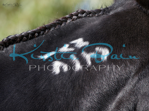 KBP23576