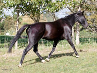 KBP23638