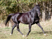 KBP23677