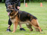 KBP24279