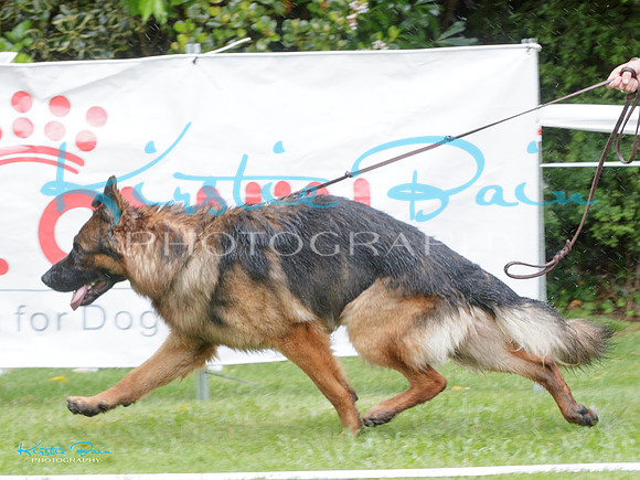 KBP24551