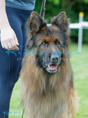 KBP24577