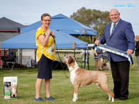 KB019002