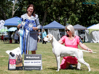 East Coast Gundog Show Society