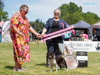 Best in Show