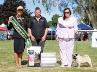 Best in Show