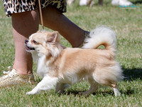 KB010852