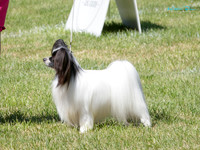 KB010878