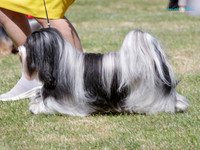 KB010854