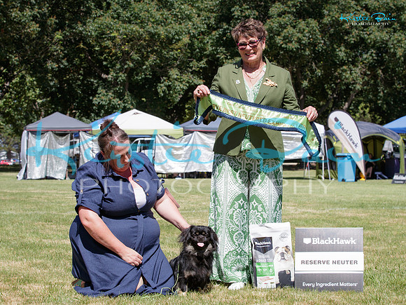 KB010917
