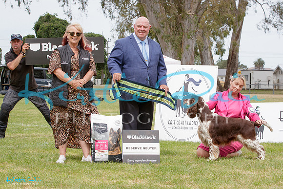 KB011781