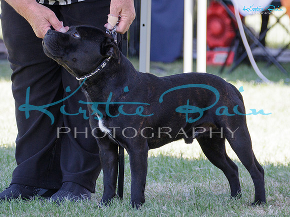 KBS19374