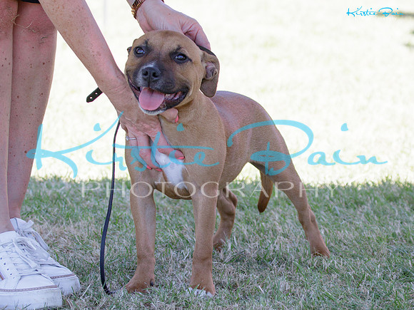 KBS19507