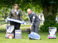 Best in Show