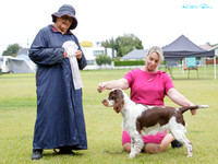 Best in Show