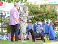 Dog Classes
