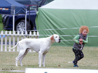 KBP28229