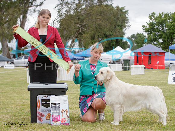 KBP28268