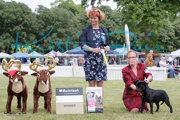 KBP28695