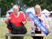 Saturday Best in Show