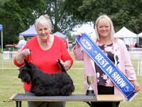 Hawkes Bay Terrier Club