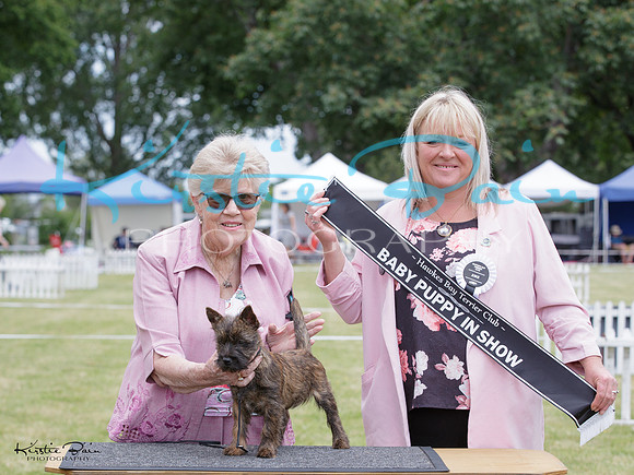 KBP29020