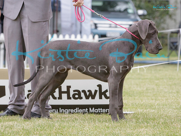 KBP29375