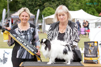 Whanganui Toy Dog Club