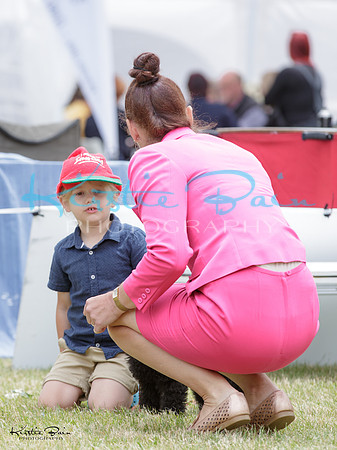 KBP28981