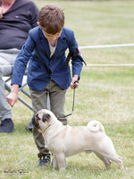 KBP28991