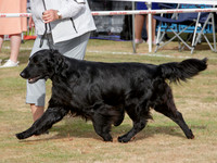 KB012743