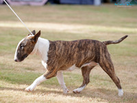 KB012735