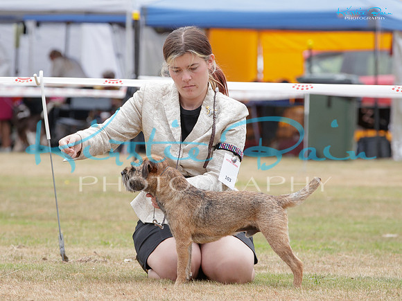 KB013800