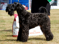 KBS11627