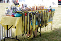 Wellington & District Labrador Retriever Club