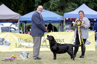 Best in Show