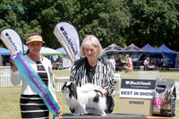 KBP20100