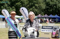 Heretaunga Toy Dog Society