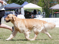 KBP20578