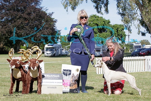 KBP21000