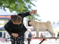 KBP20296