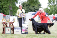 East Coast Gundog Show Society