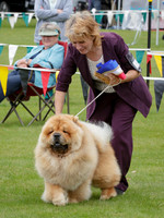 Hutt Valley Kennel Centre