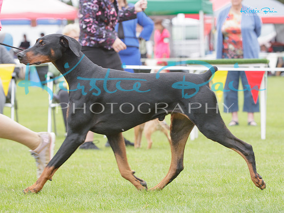 KBP21681