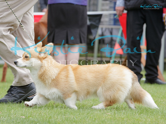 KBP21835