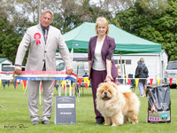 Best in Show